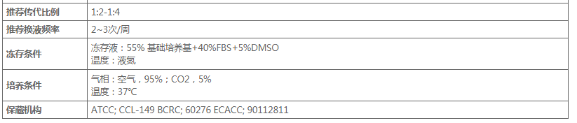 image 2020121102382967279