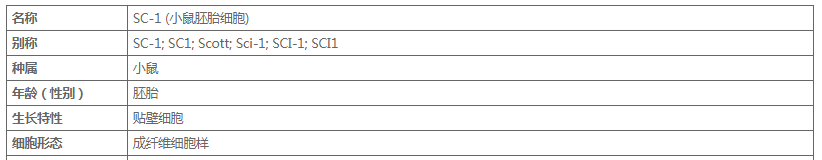 image 2020121201051376241