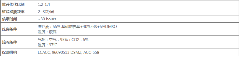 image 2020121201052665266