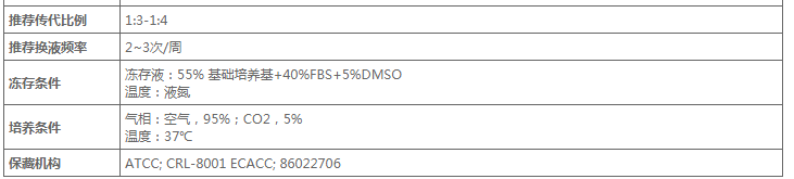 2020121203421965588