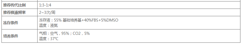 image 2020121210074036069