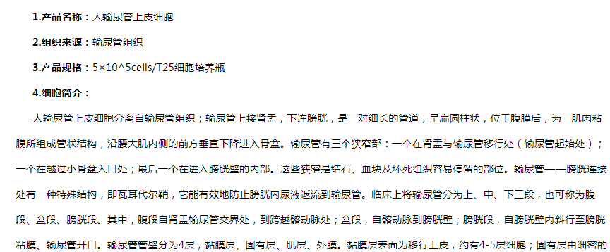 image 2020121511150318429