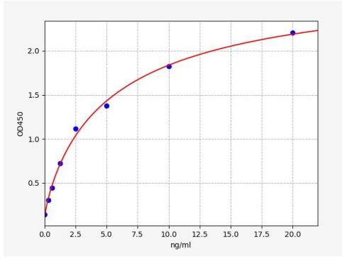 image 2022071201302315036